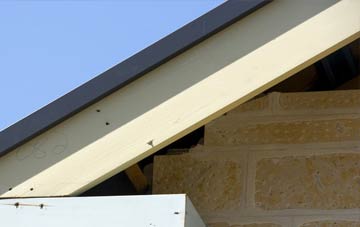 Pabo fascia repairs